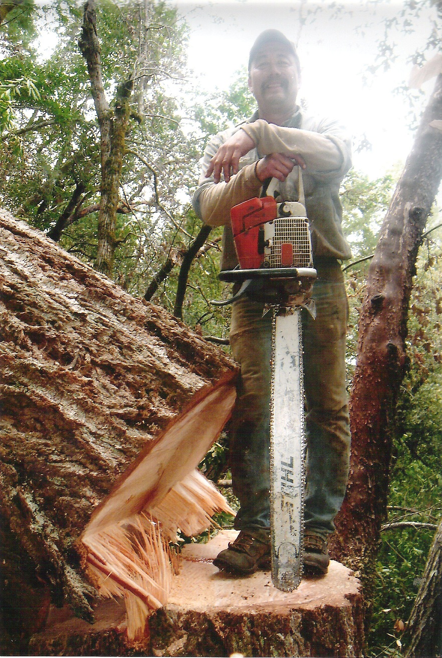 Logging